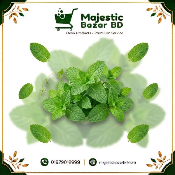 পুদিনা পাতা ১০০ গ্রাম ( Spearmint )