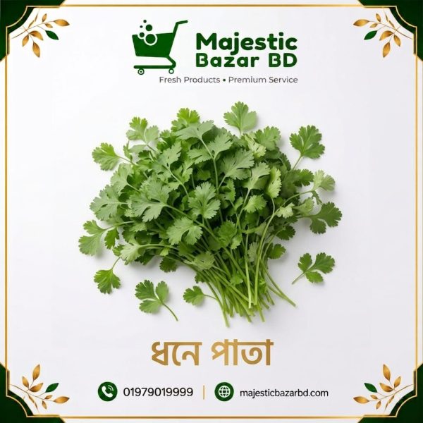 ধনিয়ার পাতা ১০০ গ্রাম (Coriander Leaves)