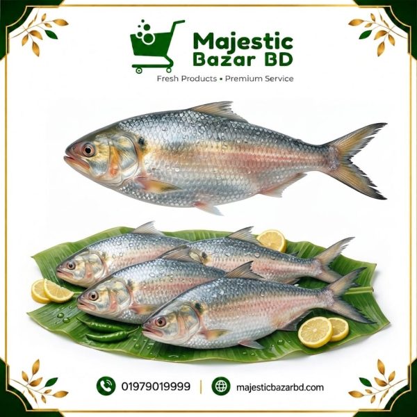 ইলিশ ১ কেজি  ( Hilsa )