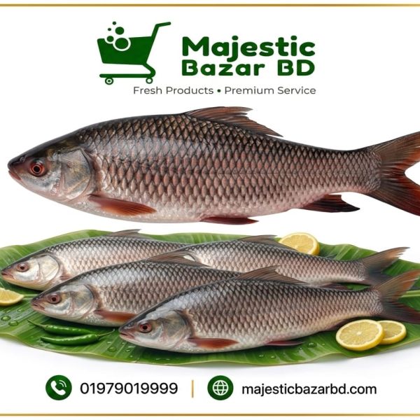 রুই মাছ ৬ কেজি
