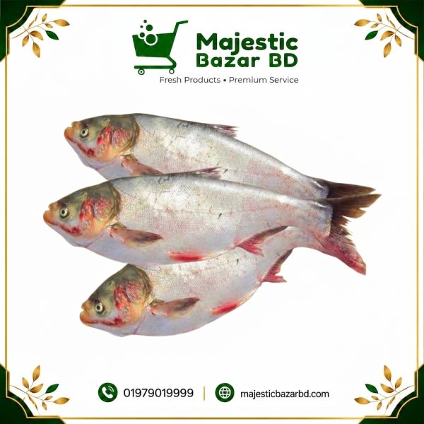 সিলভার কার্প/Silver carp( ১ কেজি)